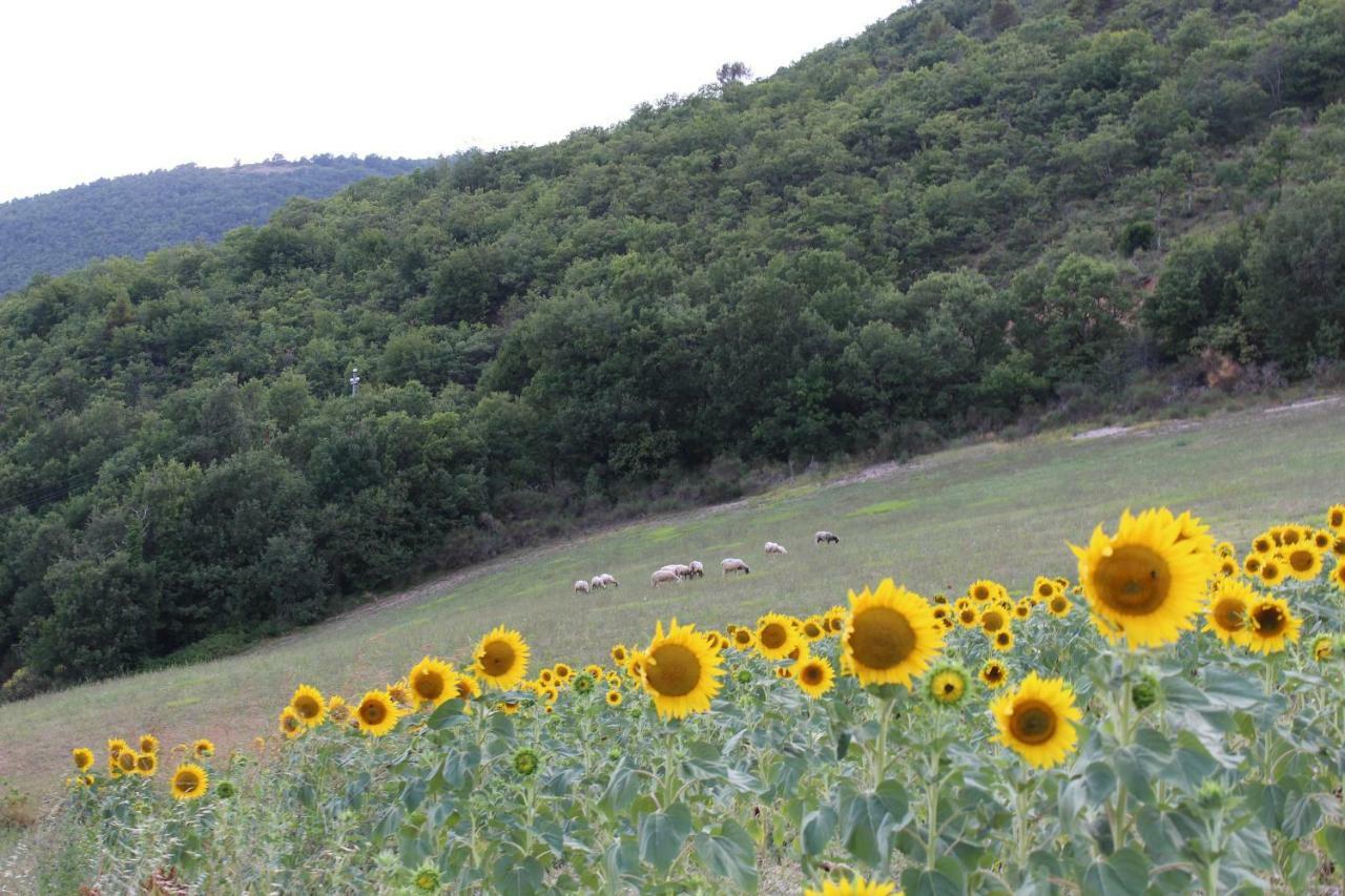 Vallo di Nera Agriturismo Roccagelli מראה חיצוני תמונה